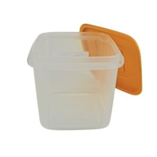 Caserolă pentru alimente, cu capac bine fixat, ideala pentru depozitat sau transport, compatibil microunde și congelator, 750 ml