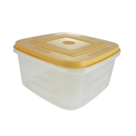 Caserolă pentru alimente, pătrată, cu capac bine fixat, pentru depozitat și transport, compatibil microunde, congelator, 2L