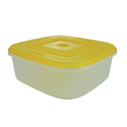 Caserolă pentru alimente, pătrată, cu capac bine fixat, pentru depozitat și transport, compatibil microunde, congelator, 2.5L